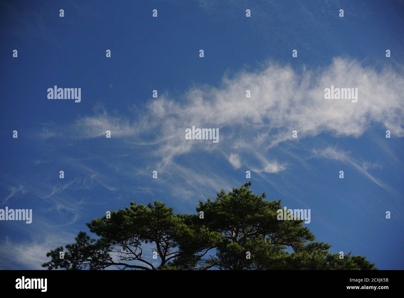 kirkkonummi Camping, Finland Stock Photo