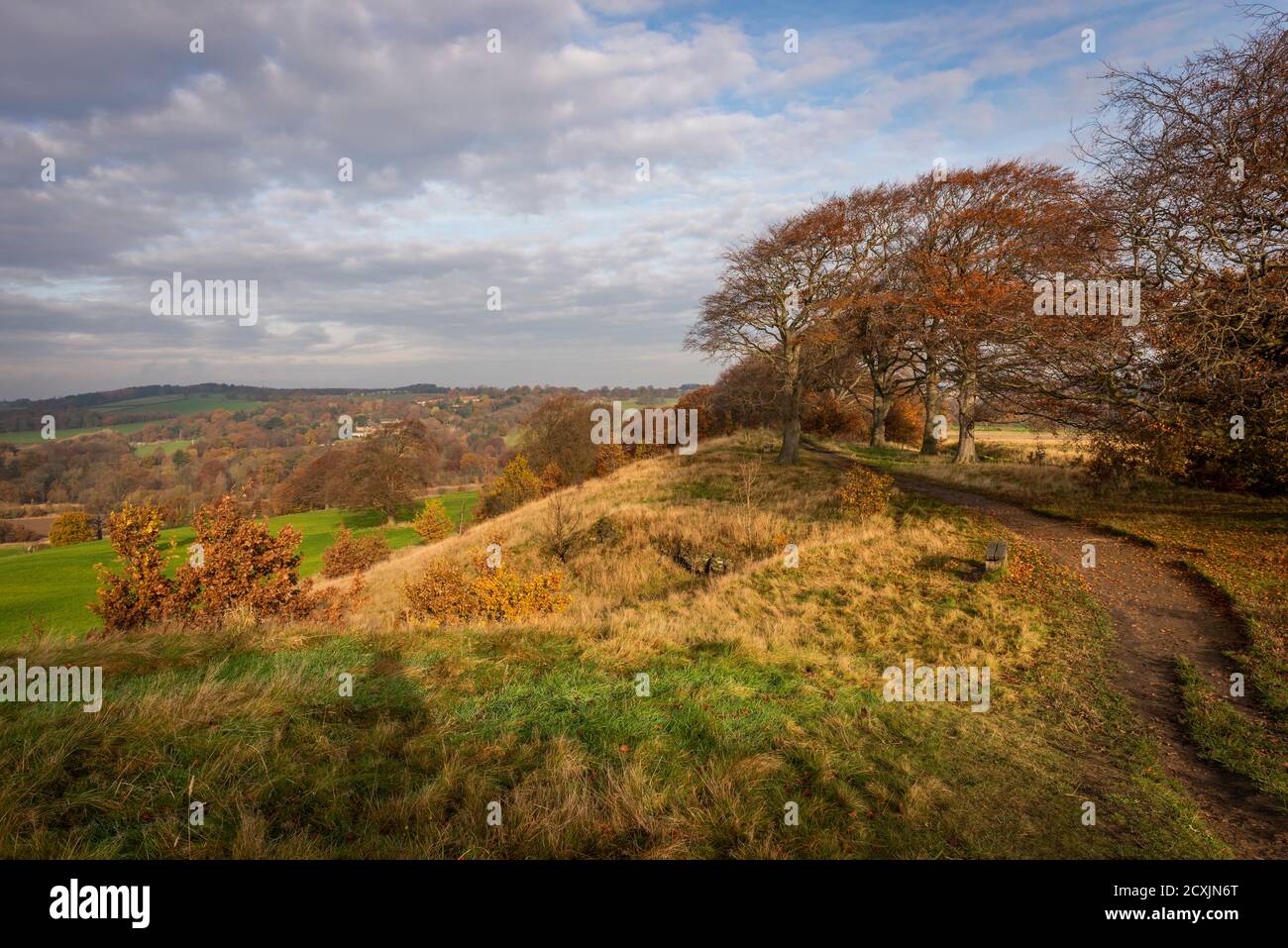 Oxley Ridge on the West Bretton Estate near Wakefield, Yorkshire, UK Stock Photo
