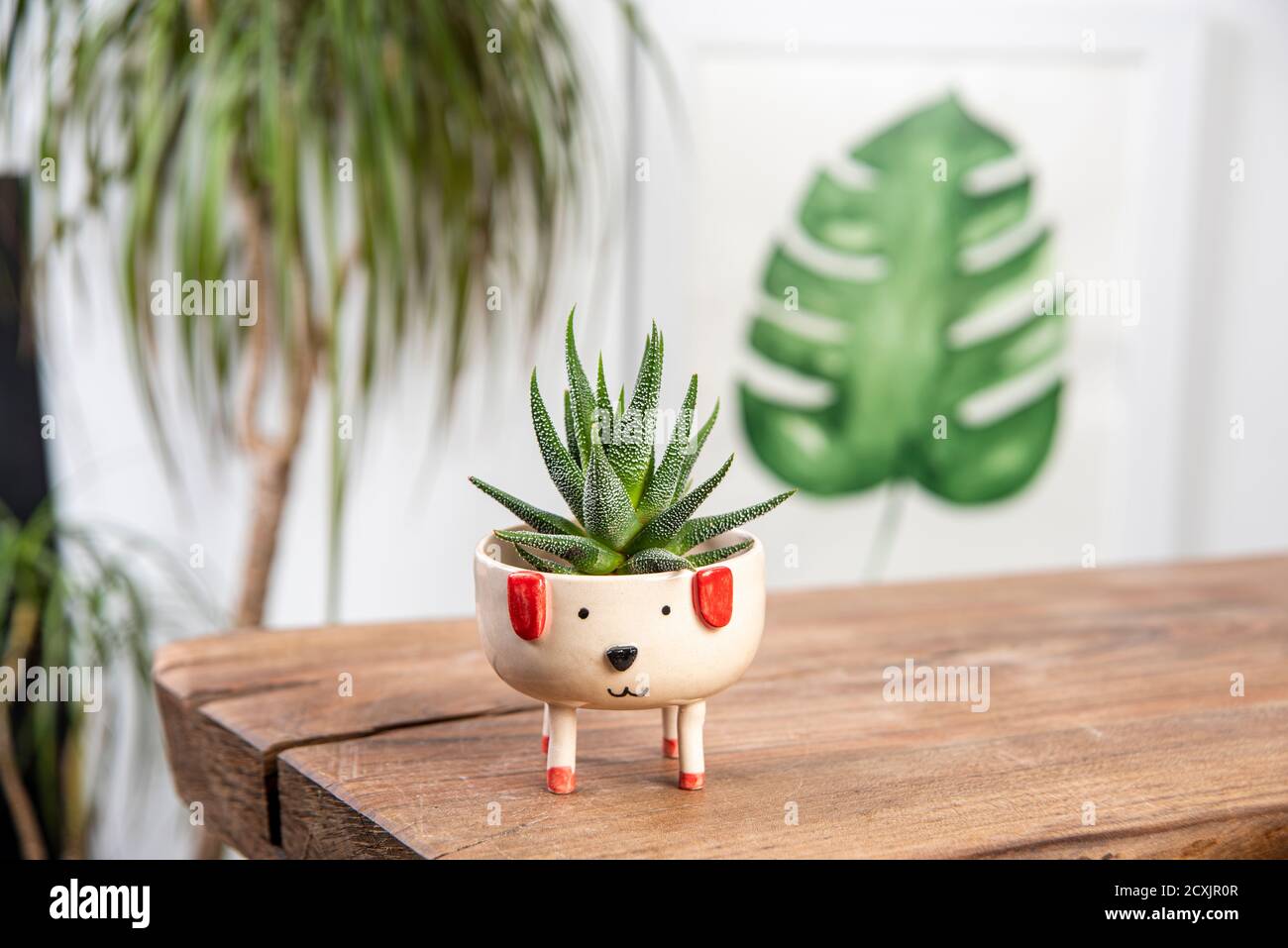 Cactus plant sill potted plant hi-res stock photography and images - Alamy