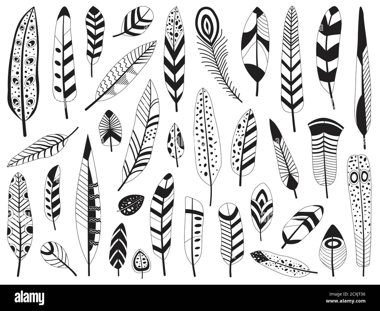Black and White Bird Feather Silhouettes Set Stock Vector