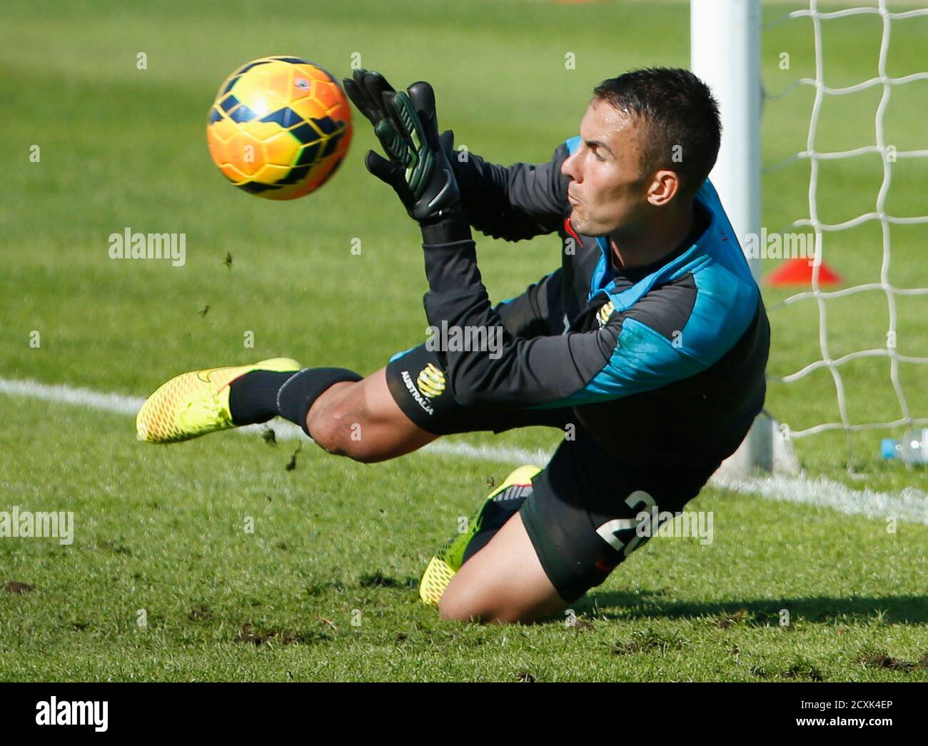 Udlænding ale Tilslutte Australian national soccer team Socceroos goalkeeper Mark Birighitti blocks  the ball during a training session in Sydney May 23, 2014. The 2014 FIFA  World Cup, hosted by Brazil, will begin on June