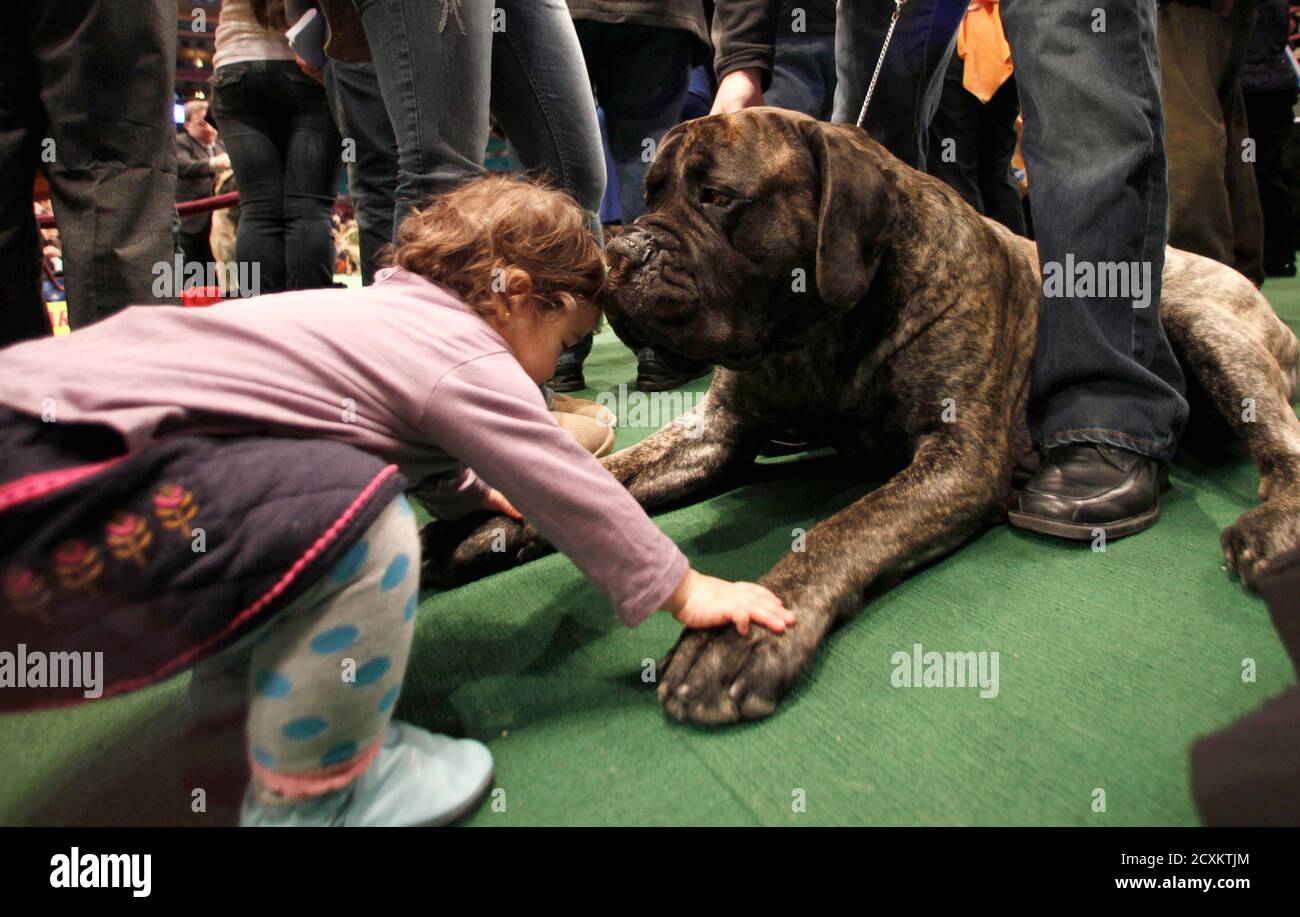 Page 9 Kennel Of The Year High Resolution Stock Photography And Images Alamy