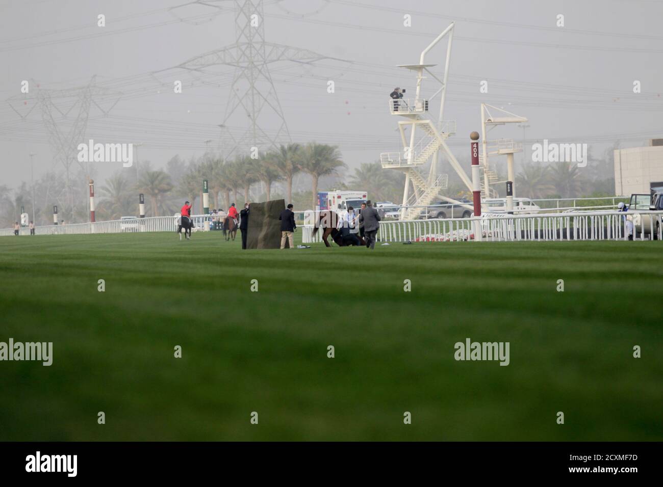 Fox Hunt of Ireland, ridden by Silvestre De Sousa, falls as it breaks its leg while competing in the third race during the 17th Dubai World Cup at the Meydan racecourse in Dubai March 31, 2012. The Dubai World Cup, with a cash prize of $10 million, is horse racing's richest race. REUTERS/Caren Firouz (UNITED ARAB EMIRATES - Tags: SPORT HORSE RACING) Stock Photo