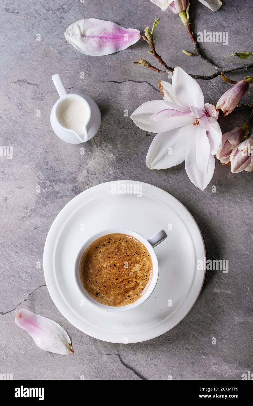 White cup of black coffee, served on white saucer with jug of cream and magnolia flower blossom branch over gray texture background. Flat lay, space Stock Photo