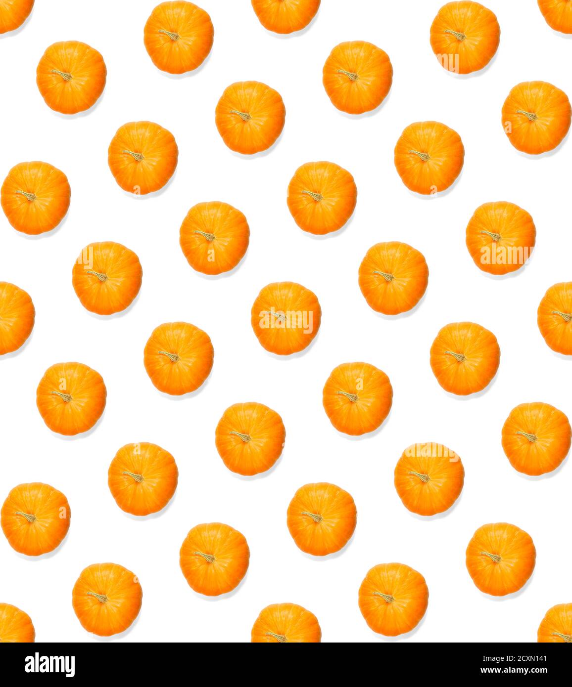 Seamless pattern with pumpkin. Autumn abstract seamless pattern made from Pumpkins on the white background. Pumpkin quality pattern. Stock Photo