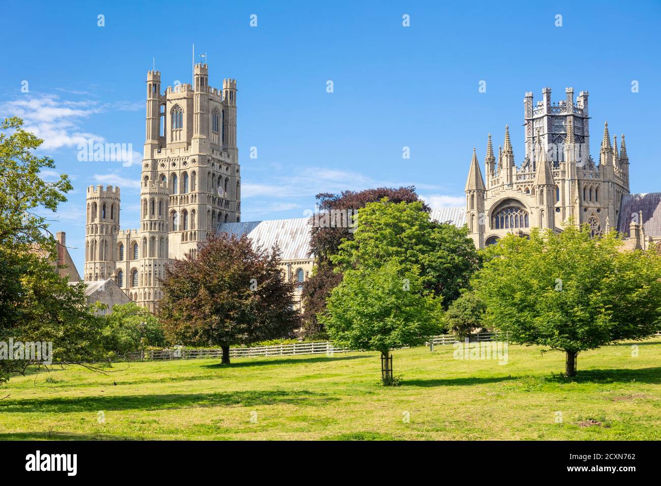 Ely uk Ely cathedral or Cathedral Church of the Holy and Undivided Trinity from Ely park Ely Anglican cathedral Ely Cambridgeshire England UK GB Stock Photo