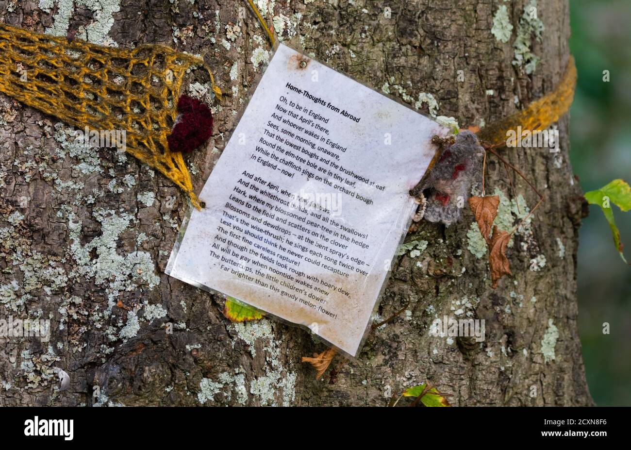 A typed poem, 'Home-Thoughts, from Abroad' by Robert Browning, attached to a tree trunk in England, UK. Stock Photo