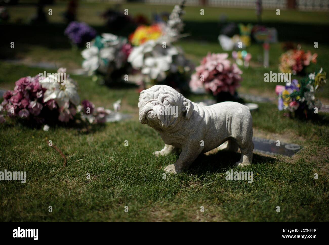 st giles pet crematorium