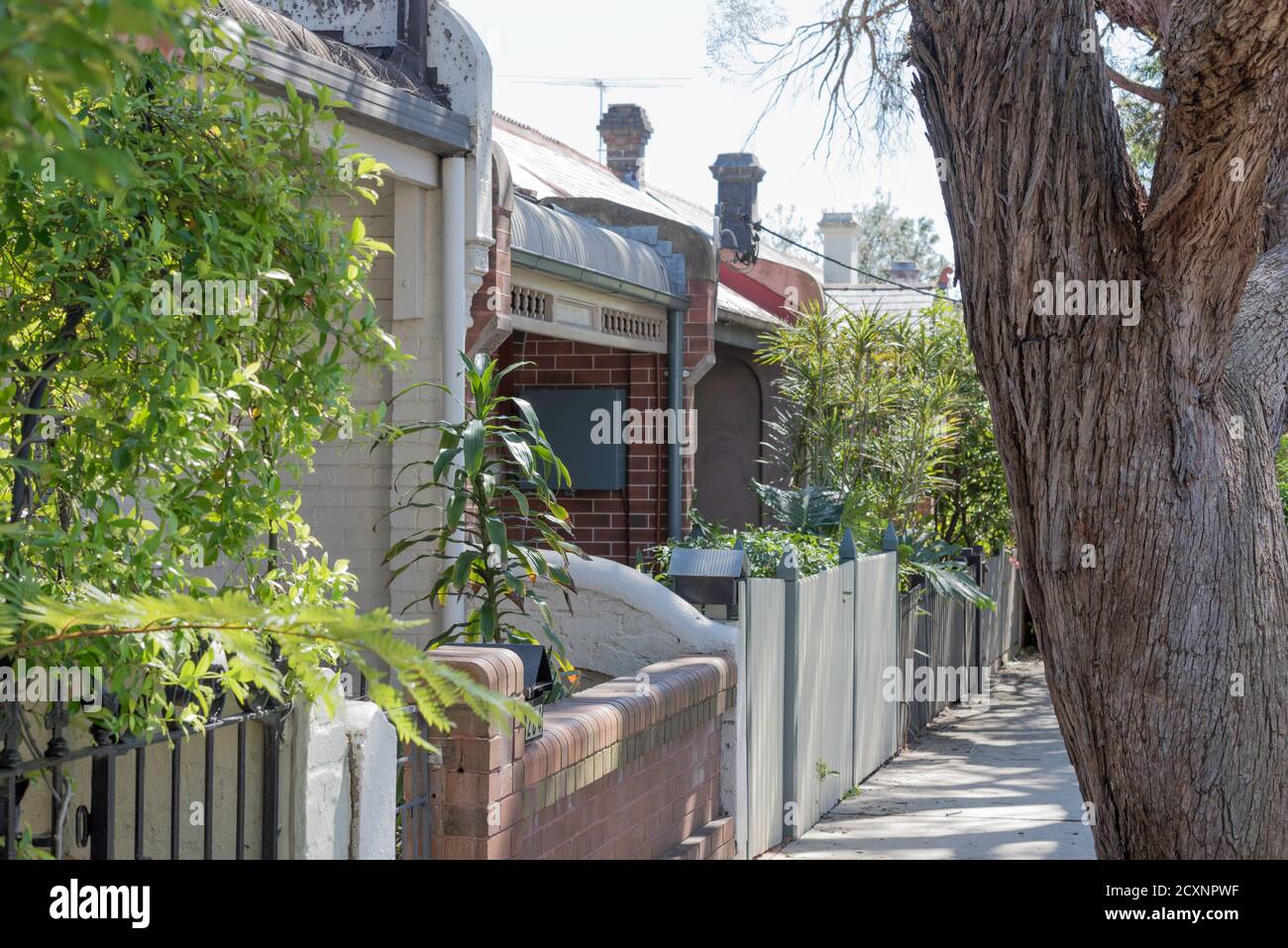 Late Victorian and early Federation single level terrace houses or