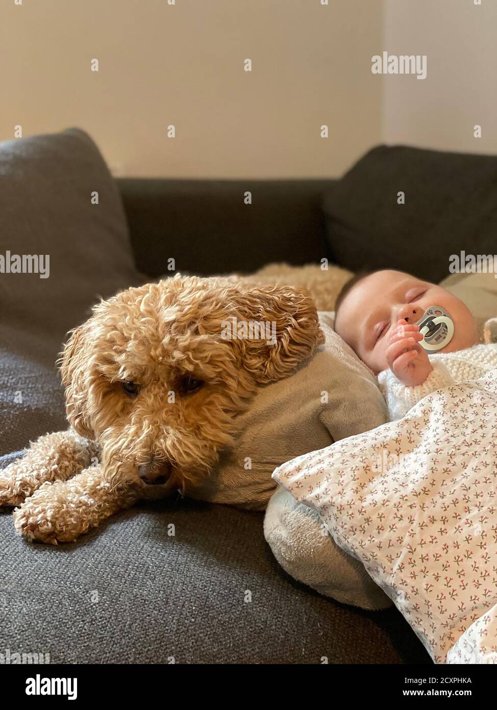 Infant baby sleeping with dummy in mouth being watched carefully by