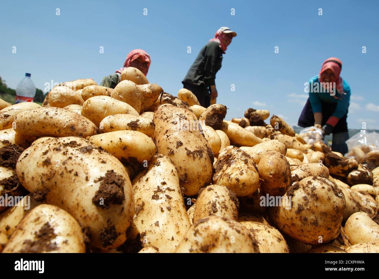 Lebanese farmers hires stock photography and images Alamy