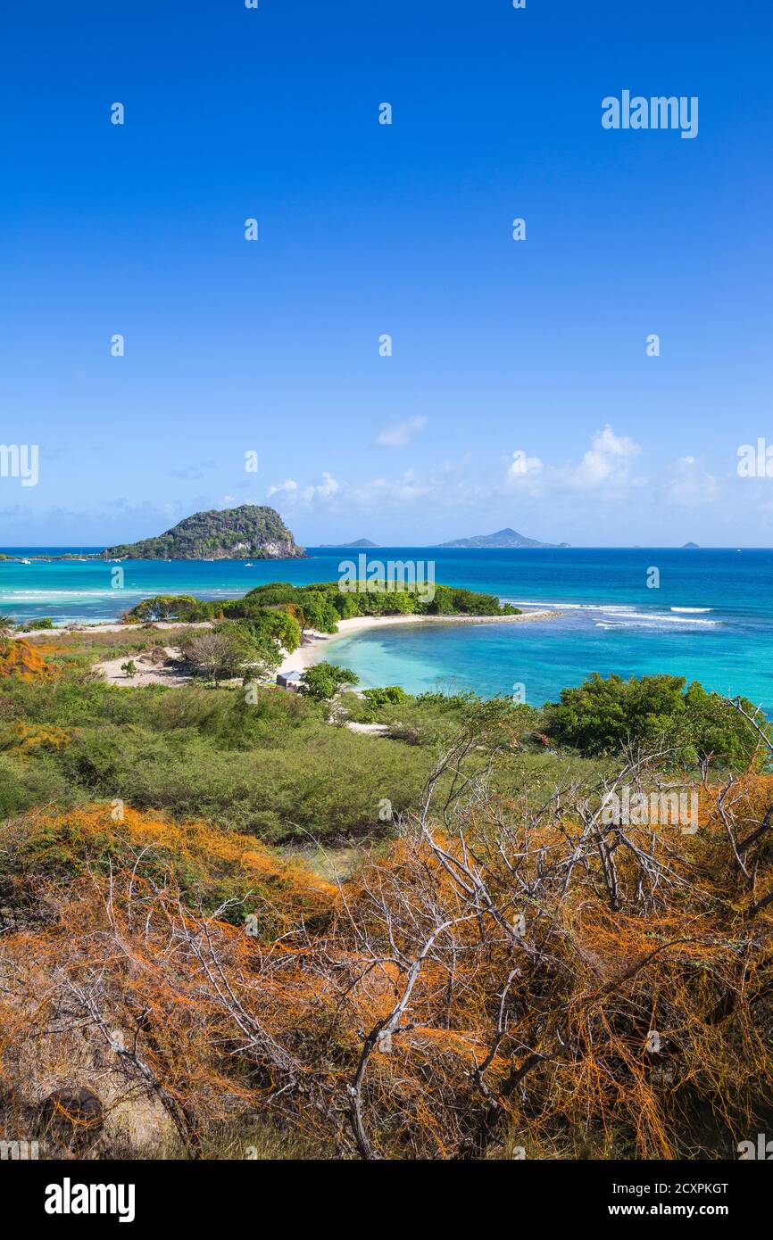 St Vincent and The Grenadines, Union Island, Campbell beach and Frigate Island Stock Photo