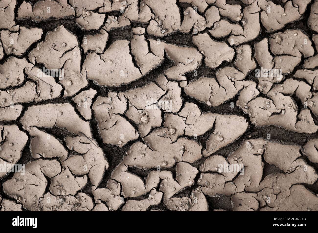 Dried slush. Texture cracked dirt. Selective focus. Macro. Stock Photo