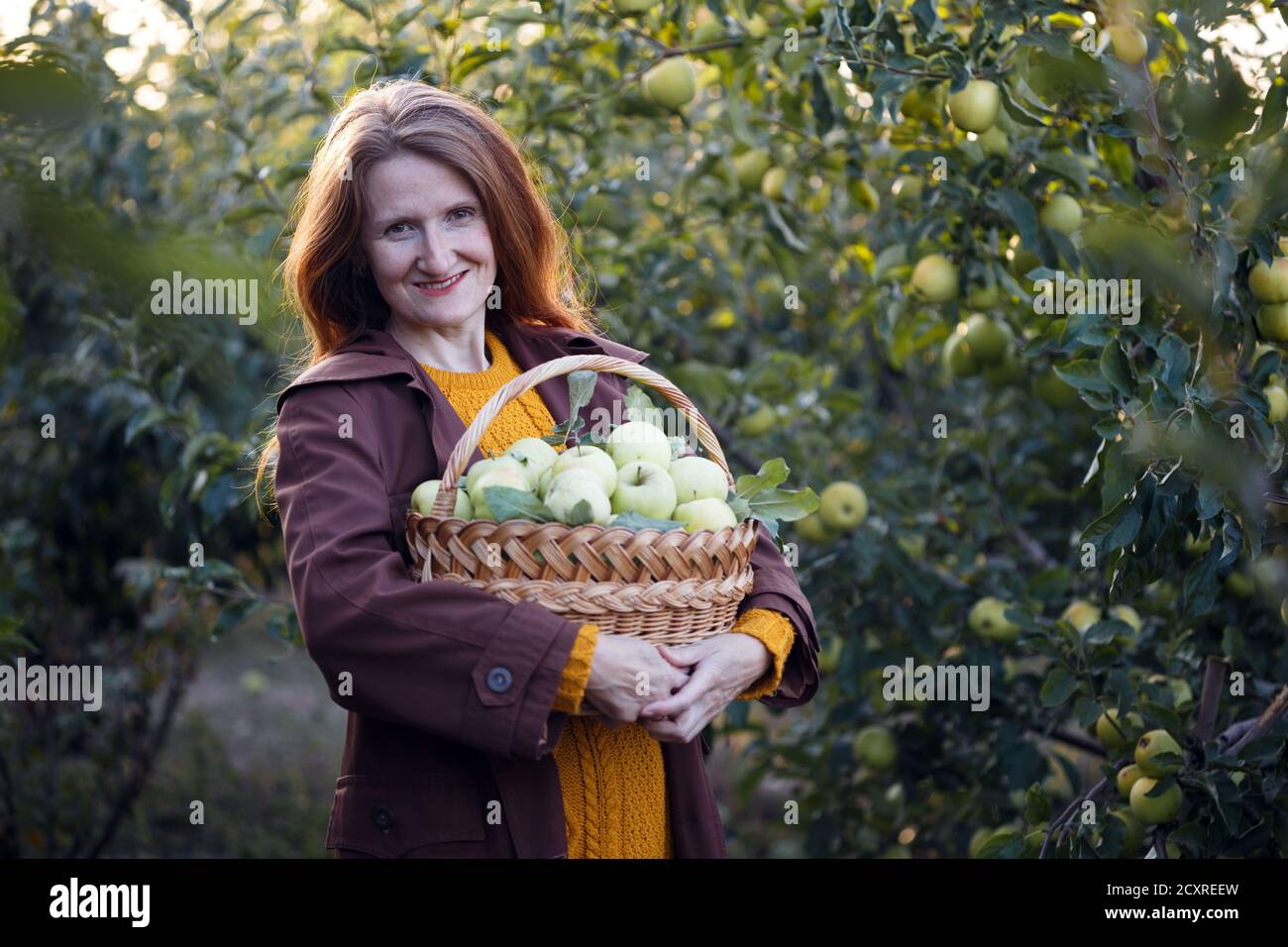 happy girl holds basket with juicy apples in the garden Stock Photo - Alamy