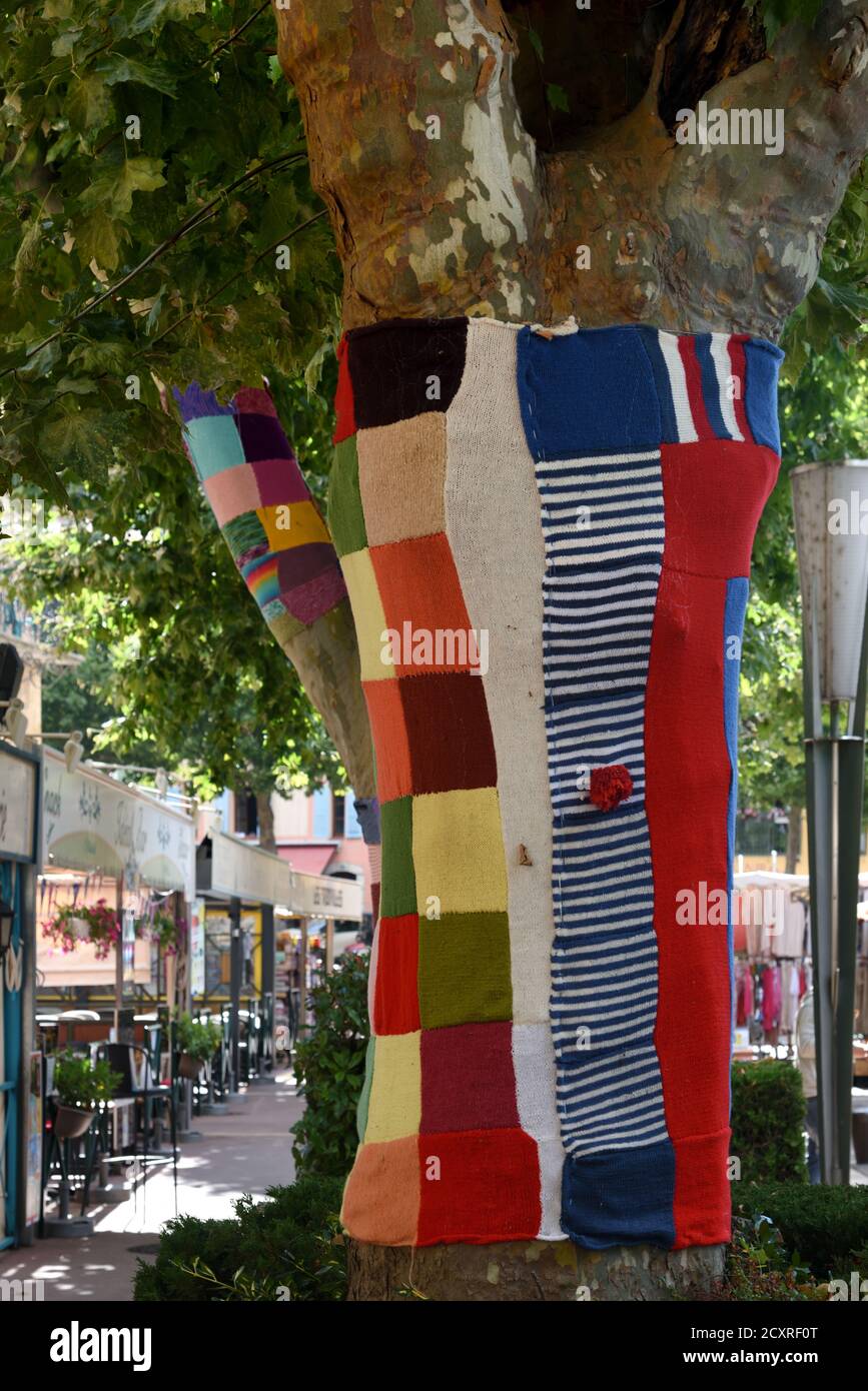 Plane Tree Decorated with Knitted Woollen Patchwork Castellane Alpes-de-Haute-Provence Provence France Stock Photo
