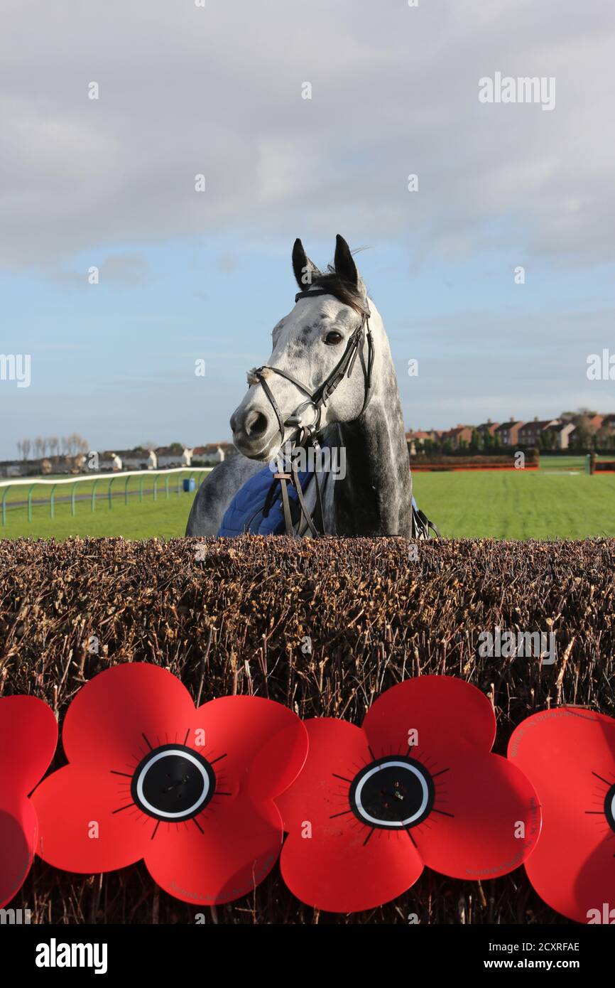 Ayr Racing Ayr race course , Ayrshire, Scotland, UK. Remember the fallen men ...