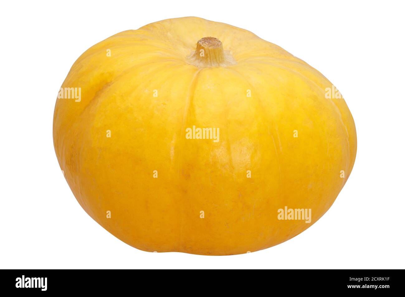 beautiful yellow pumpkin isolated on white background Stock Photo Alamy