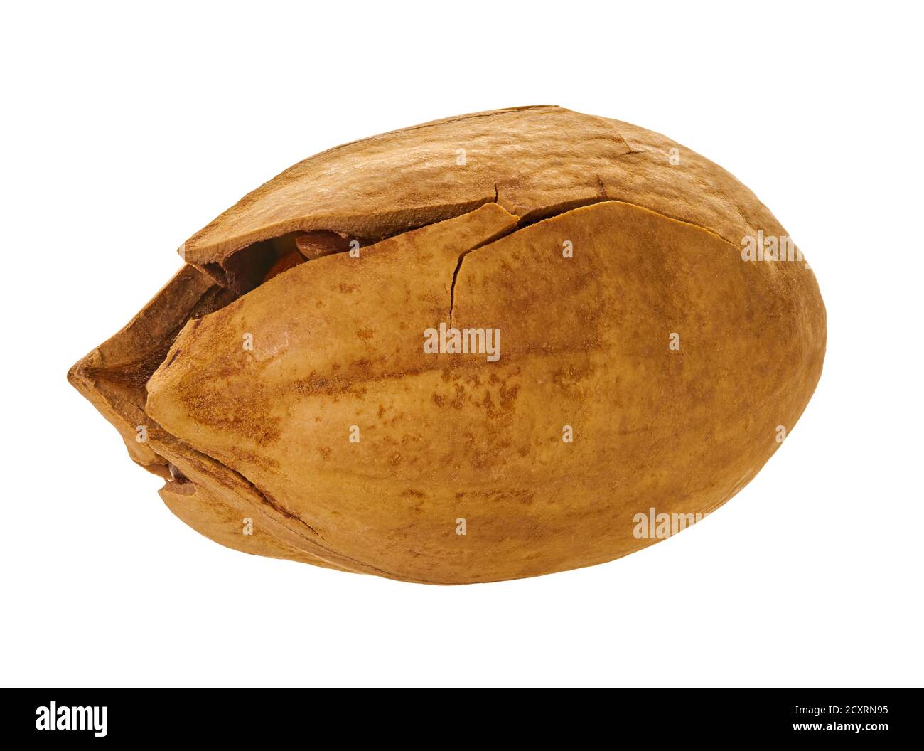 pecan with clipping path on a white isolated background Stock Photo