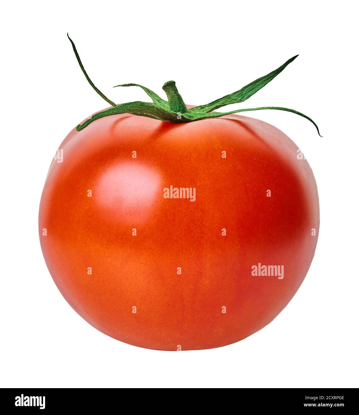 tomatoe on a white isolated background with clipping path Stock Photo ...