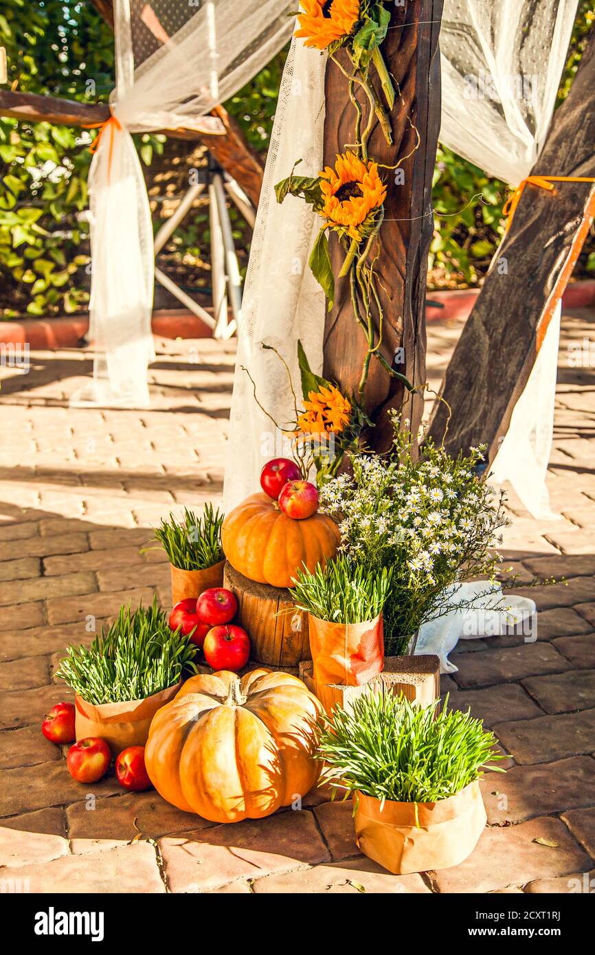 Wedding arch for off-site wedding ceremony, decorated in autumn theme with  pumpkins Stock Photo - Alamy, image size:866x1390