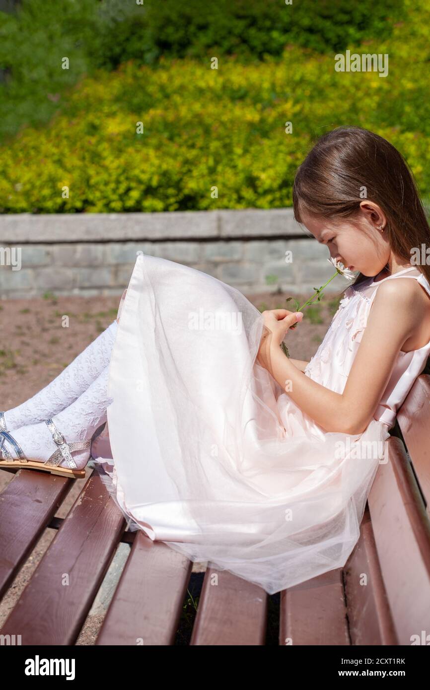beautiful girl in a pink dress sits on a bench with a camomile in hands ...