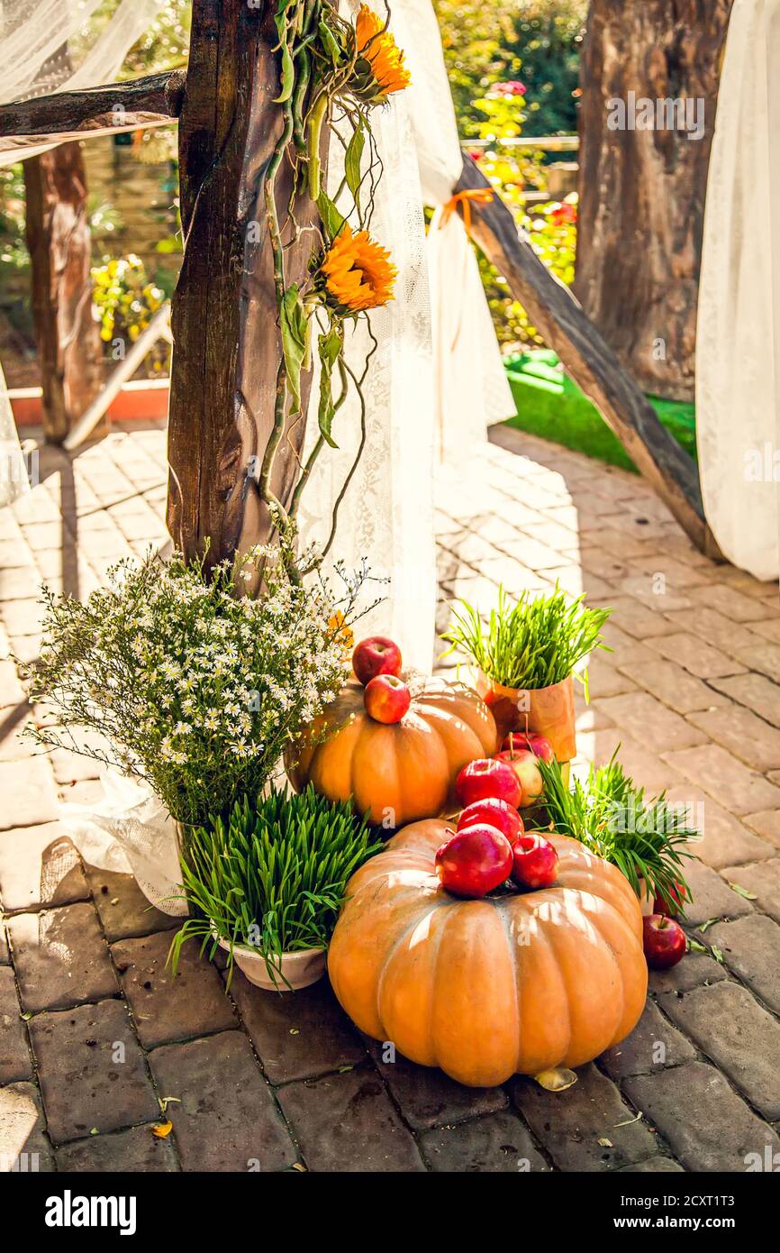 Wedding arch for off-site wedding ceremony, decorated in autumn theme with pumpkins. Stock Photo