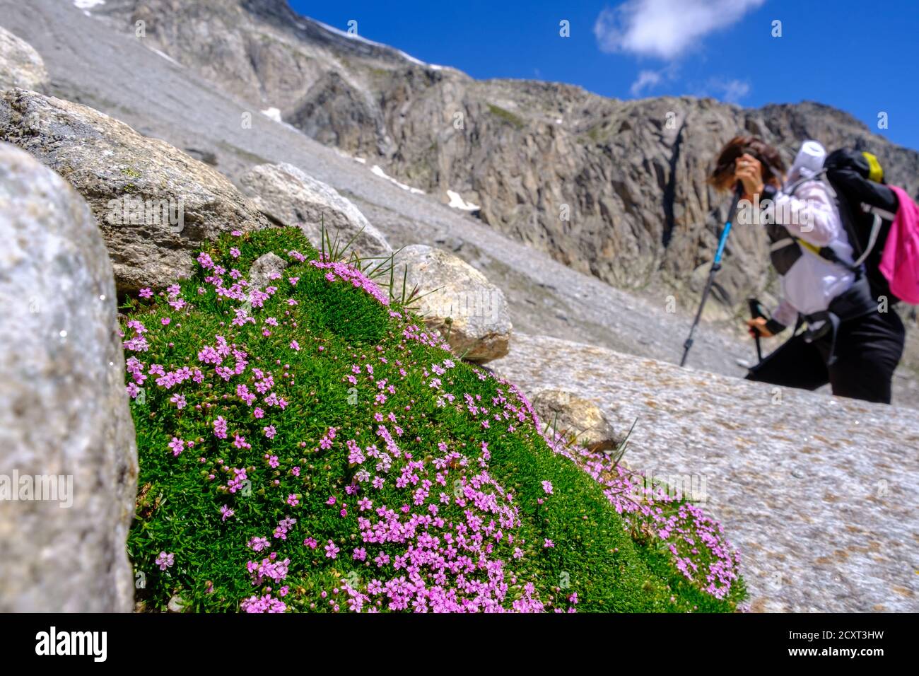 A girl ascending a mountain. Rock and flowers Stock Photo