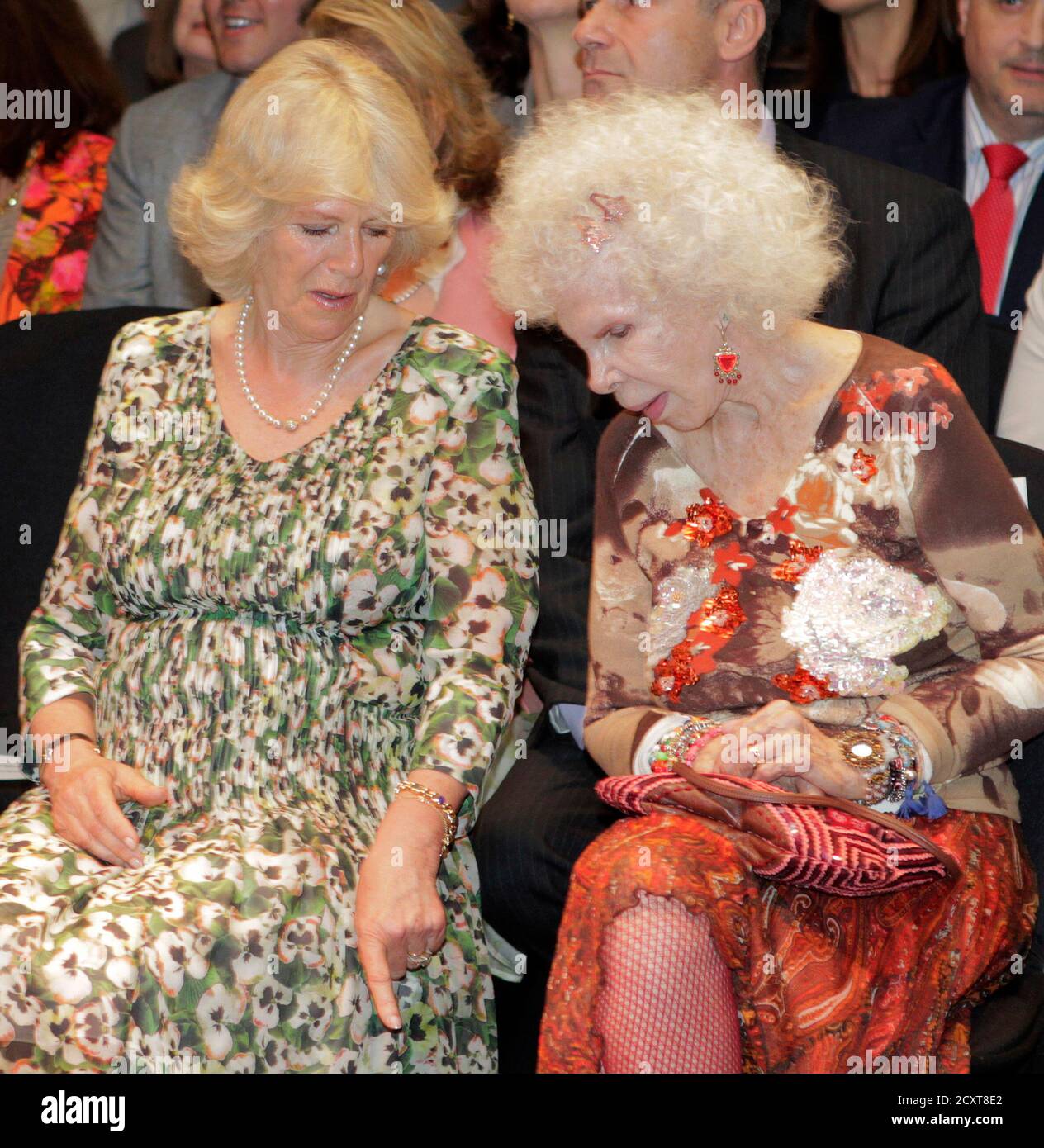 Duchess Of Alba High Resolution Stock Photography And Images Alamy Duchess Of Alba High Resolution Stock Photography And Images Alamy