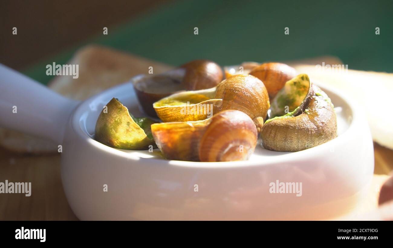 Snail farm, growing snails, snails closeup. Snail climbs on another