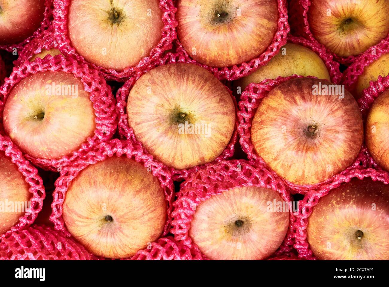Close-up of a heap of yellow and red colored apples from China, wrapped individually in plastic net protectors, adding plastic waste tour environment Stock Photo