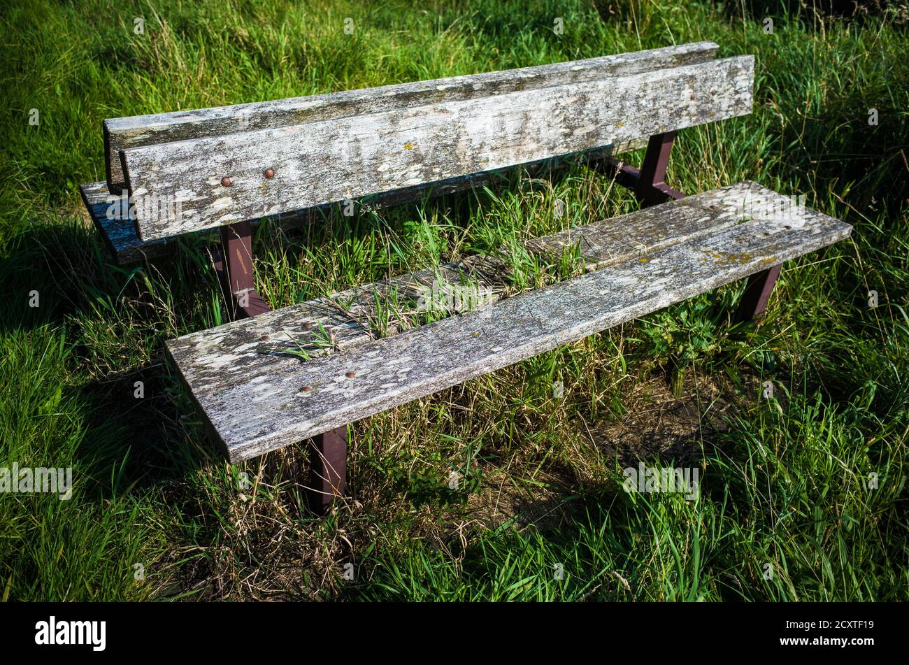 An old, wooden abandoned bench overgrown with weeds. Stock Photo