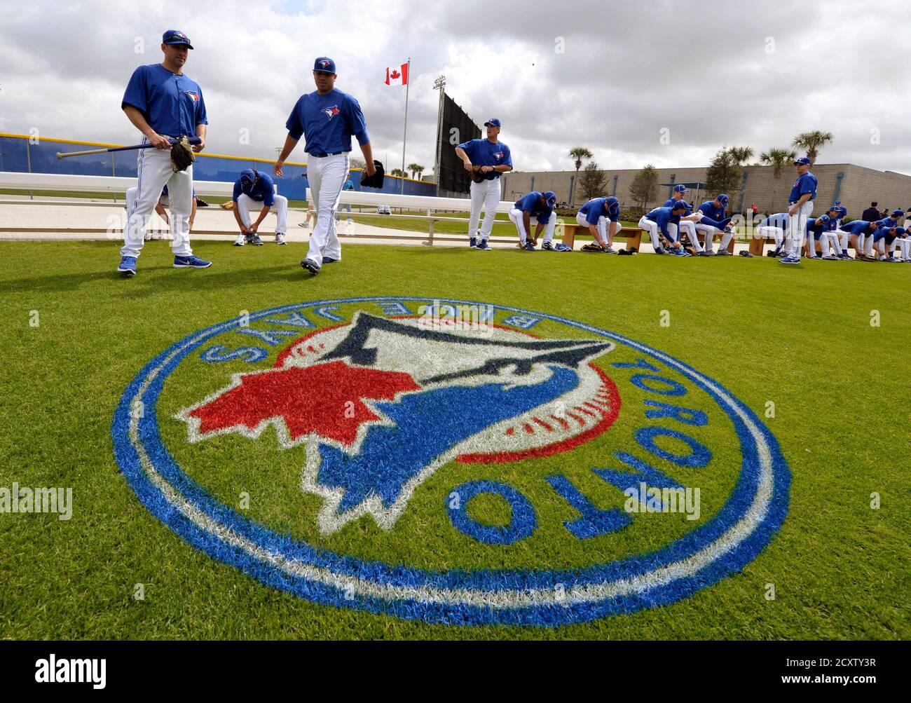 Blue Jays Logo High Resolution Stock Photography And Images Alamy Blue Jays Logo High Resolution Stock Photography And Images Alamy