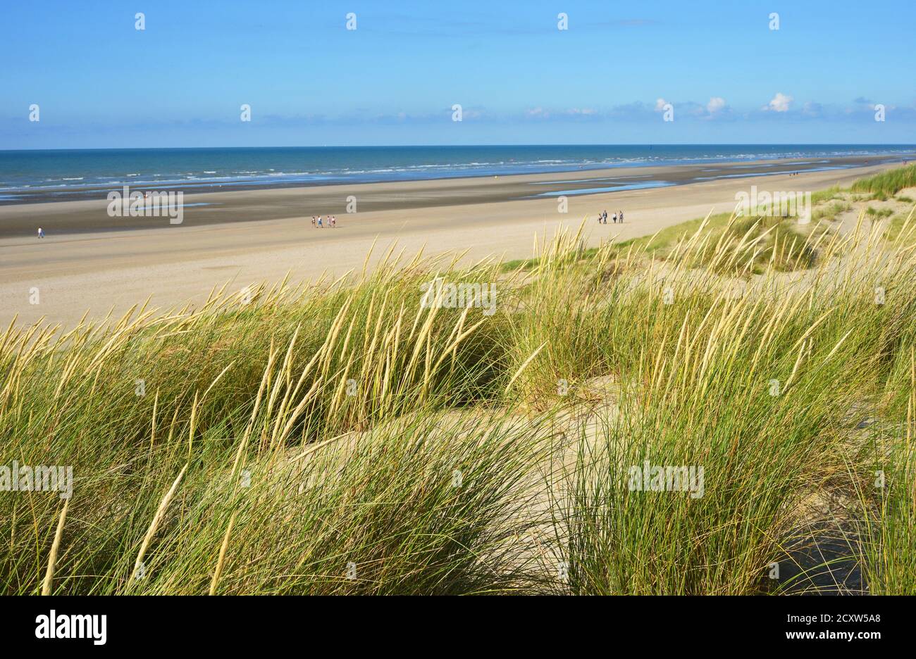 Atlantic ocean beach and Dune de Perroquet, in Bray Dunes, France Stock Photo
