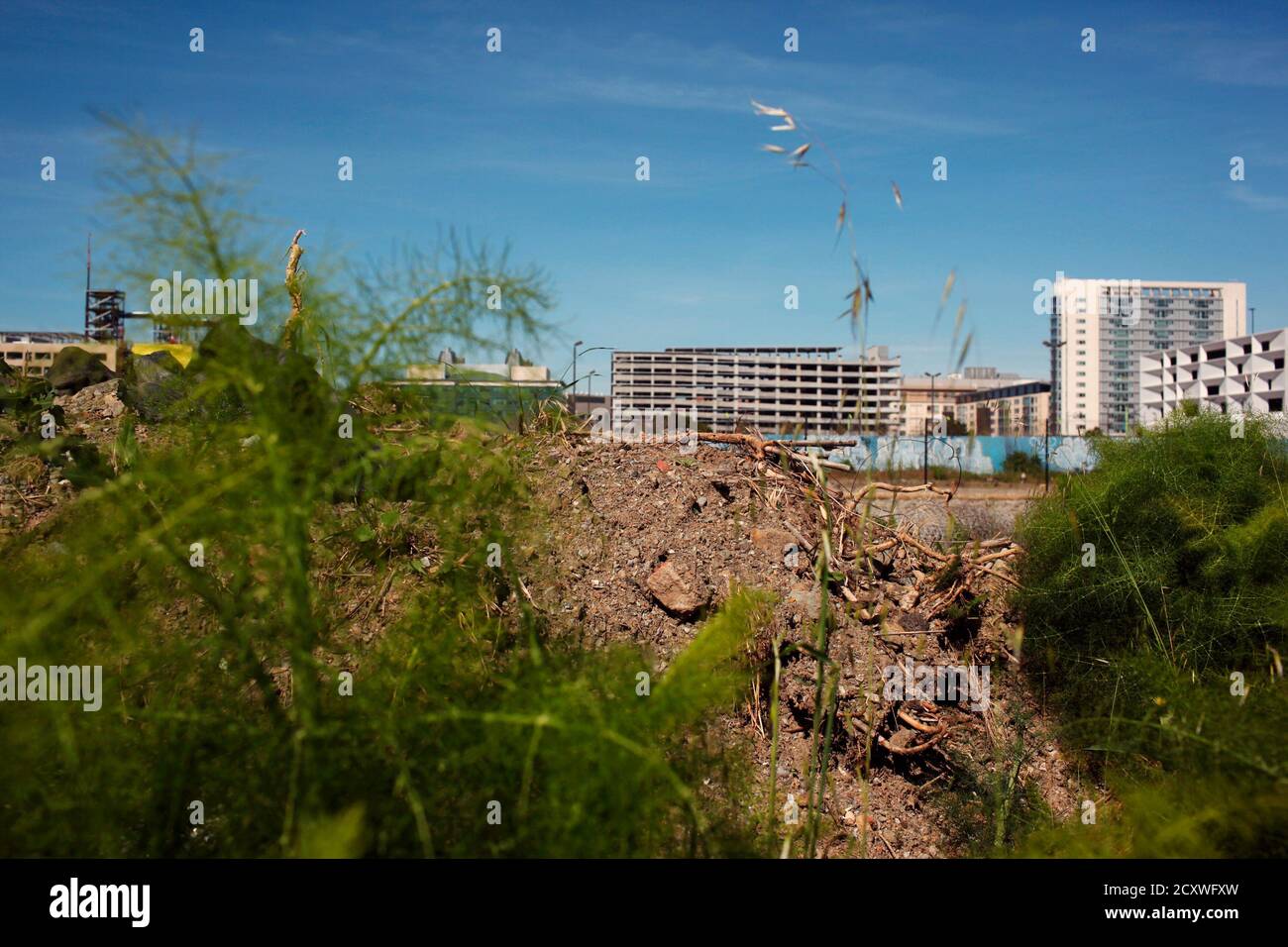 Weeds And Mounds Of Dirt Are Shown At A Vacant Plot Of Land Purchased By Salesforce Com For 278 Million In San Francisco California April 30 12 Salesforce Ceo Mark Benioff Originally Planned