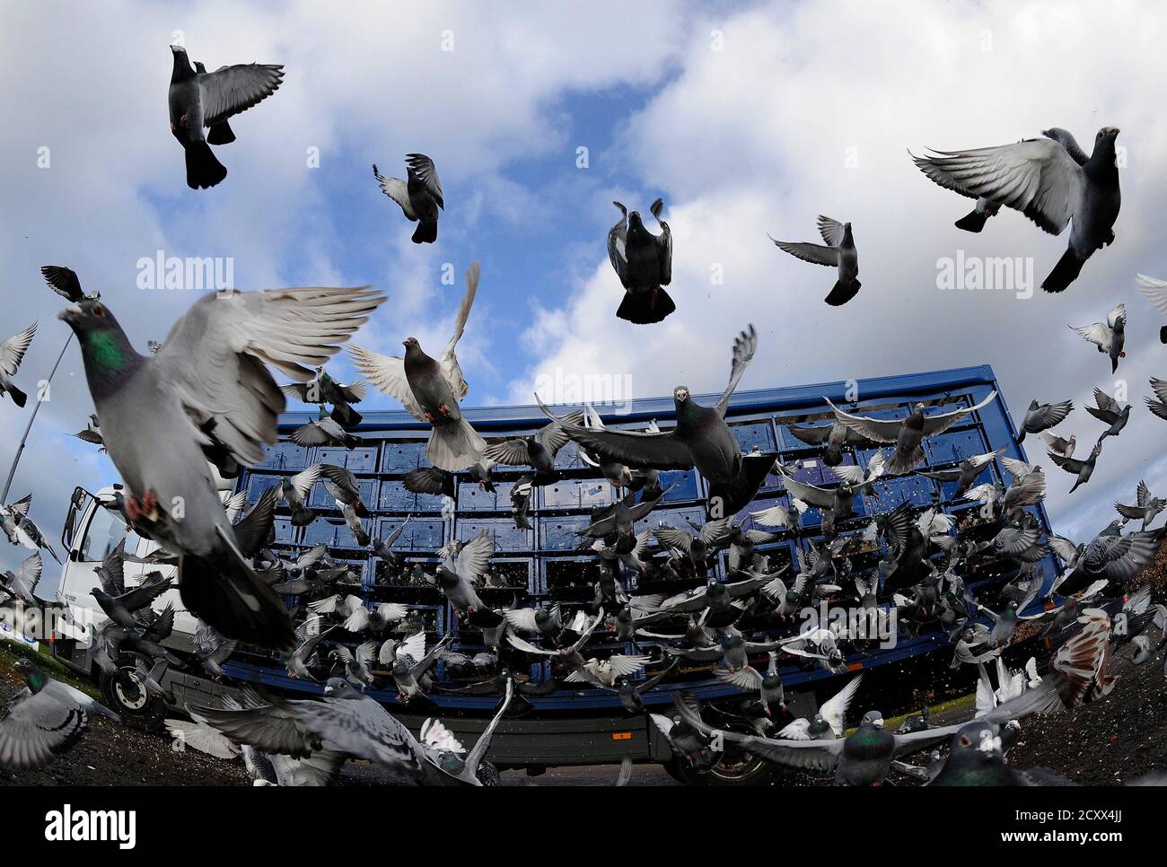 01-images-released-by-hi-res-stock-photography-and-images-alamy
