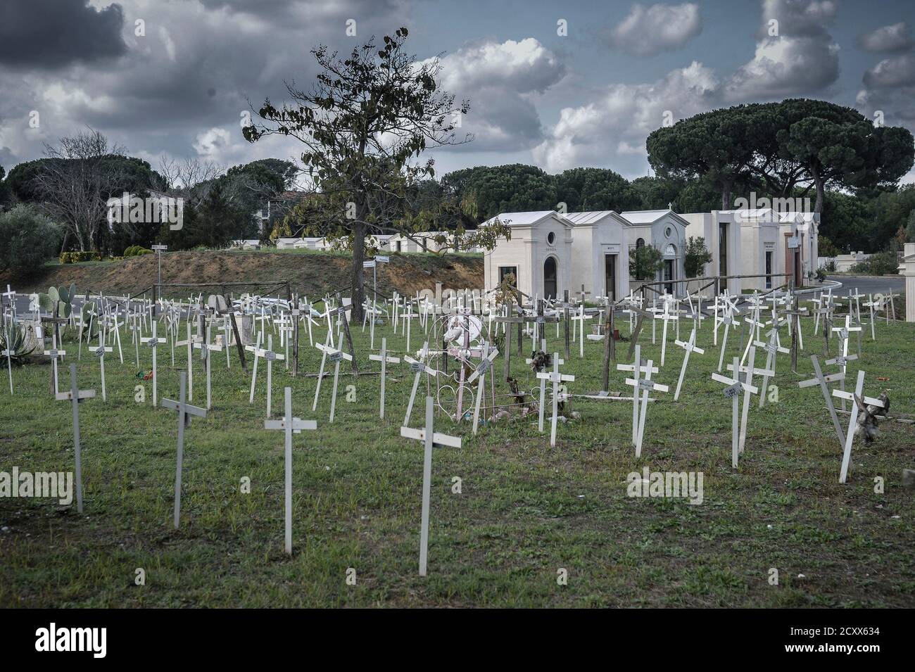 Rome, Italy. 01st Oct, 2020. Al cimitero Flaminio di Prima Porta ci sono  centinaia di croci bianche sotto le quali sono stati sepolti i feti  obortiti. Sulle croci sono riportati i nomi