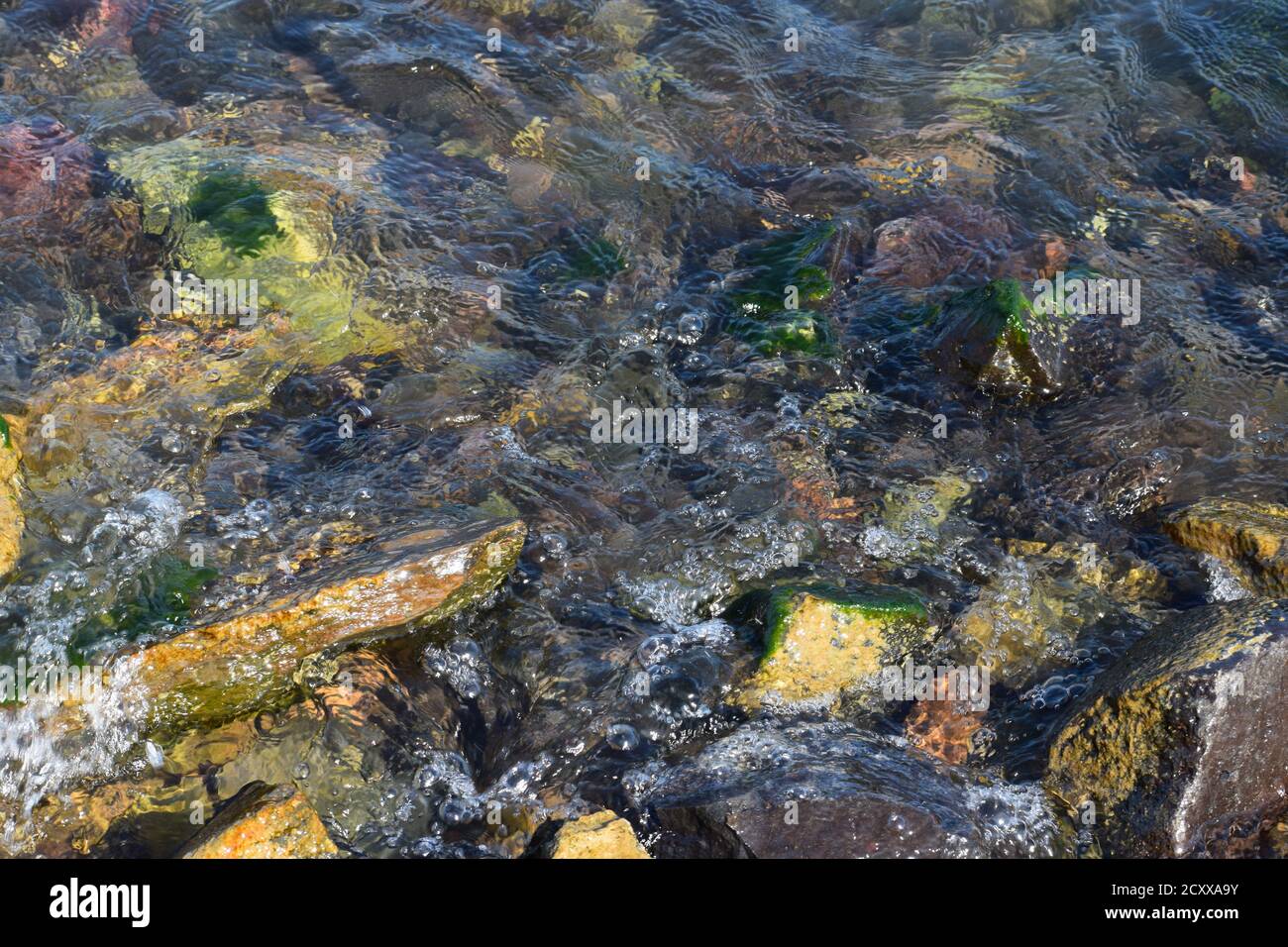 clear water Stock Photo