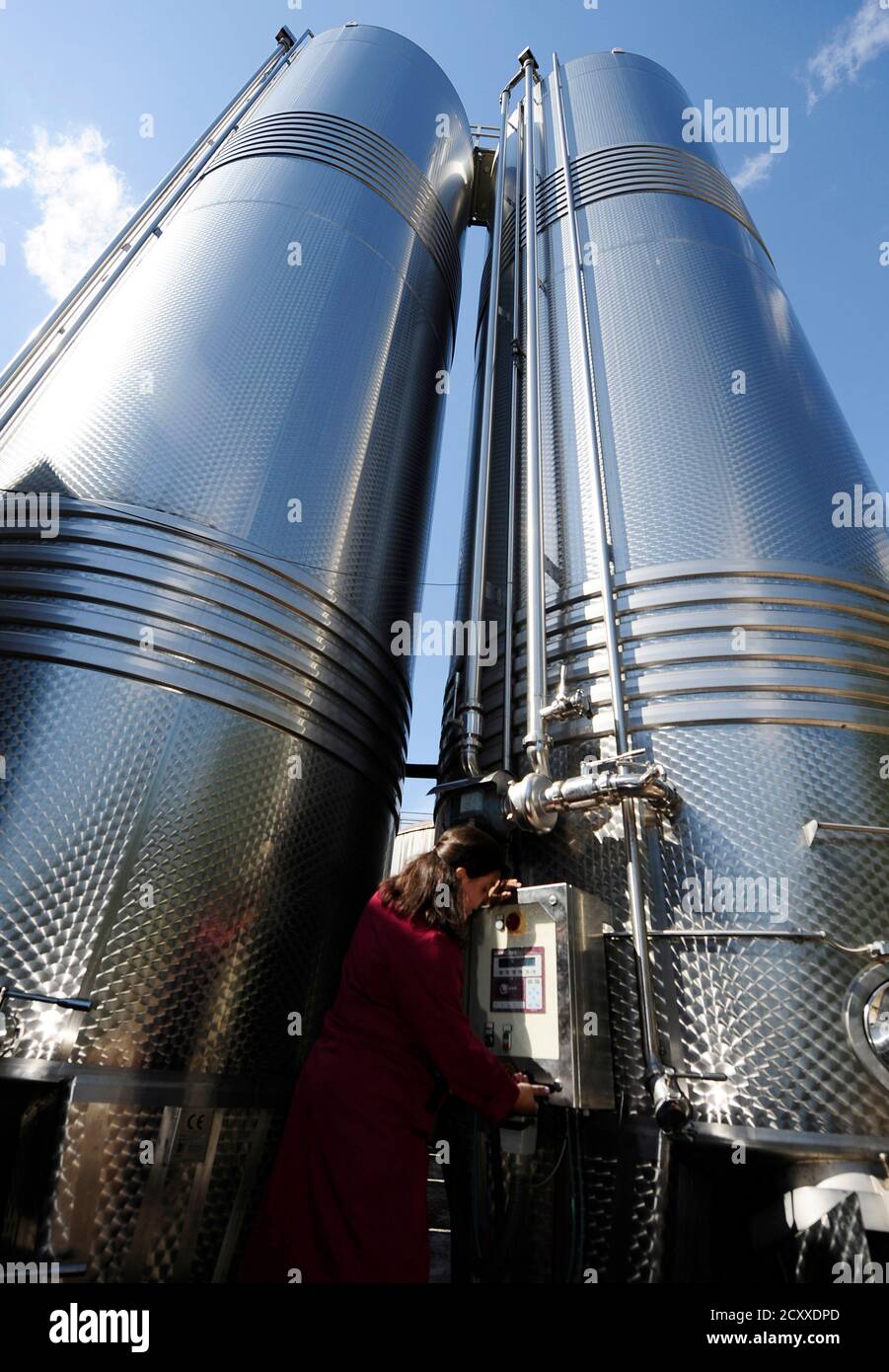 A worker checks wine on the bottling line in the Skovin winery near the  capital Skopje September 28, 2010. Skovin is the third largest winery in  Macedonia with production of 10 to