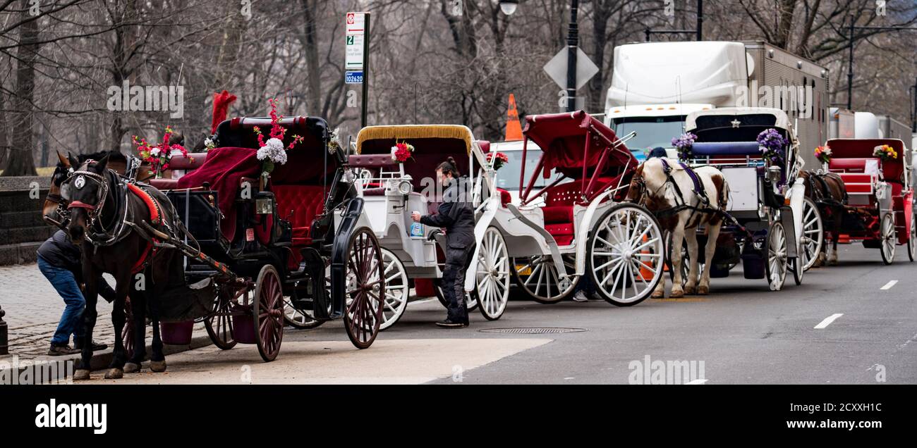 Horse drawn carriage rides give hi-res stock photography and images - Alamy