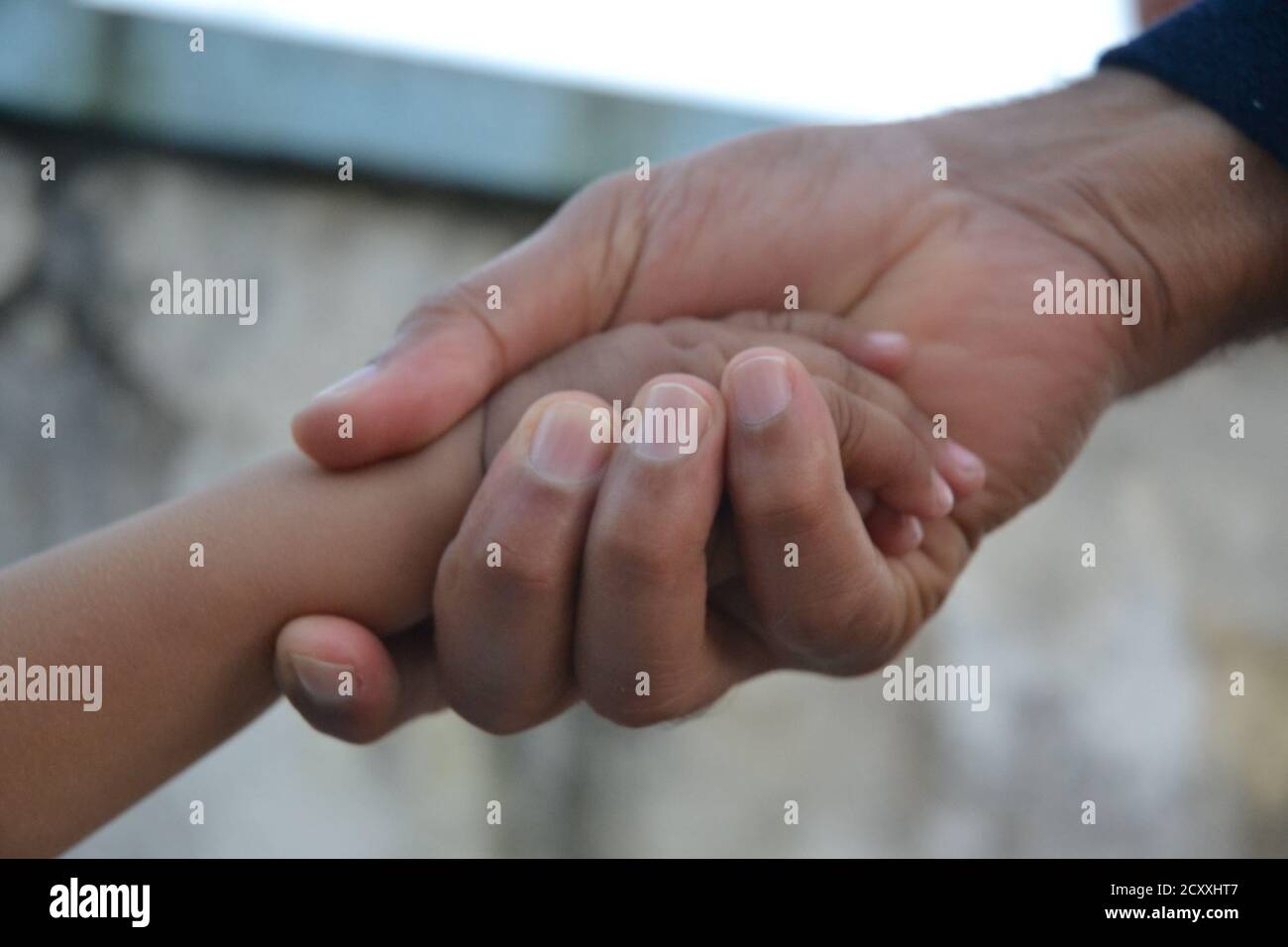 Different hand gestures. Human hands with different objects caring and carrying them. Stock Photo