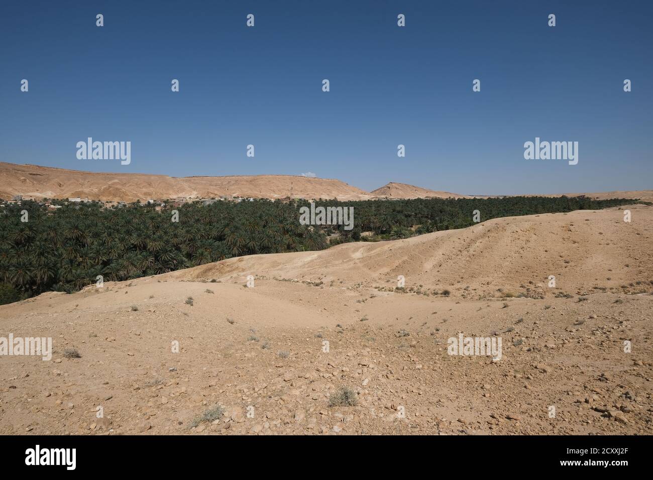 Oasis at Tamerza in the Sahara Desert ,Tunisia Stock Photo