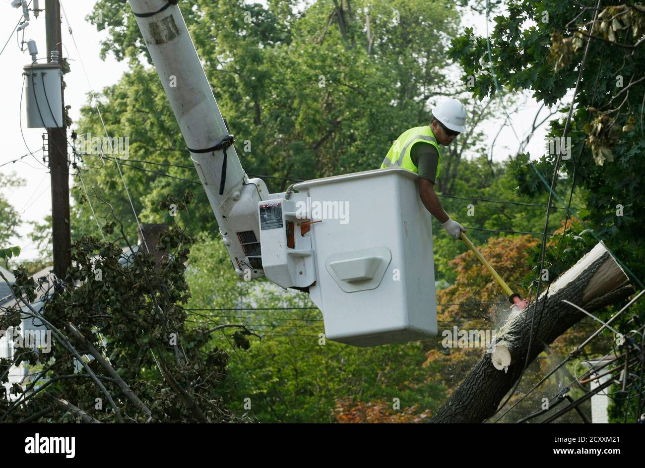 Hanging down from the branches of a tree hires stock photography and images Alamy
