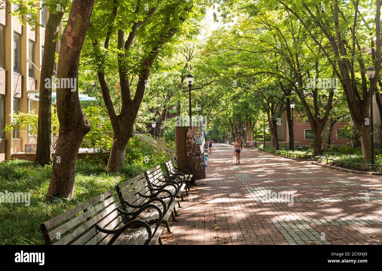 University Campus with few students during pandemic Fall 2020, University of Pennsylvania, Philadelphia, USA Stock Photo