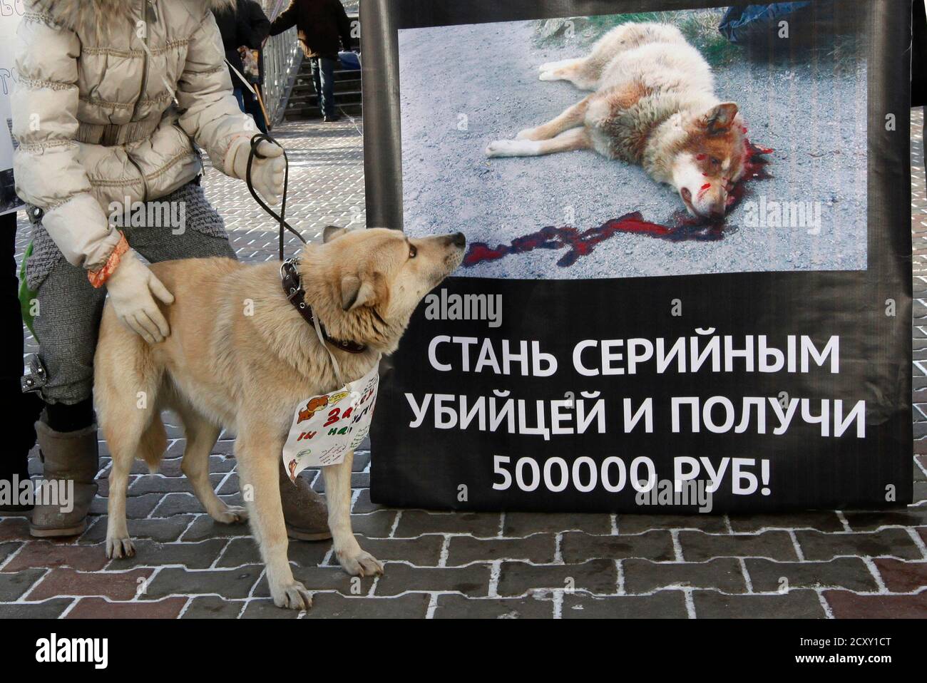 A woman with her dog takes part in a picket in front of a city administration building in Krasnoyarsk, November 26, 2010. The city administration has said it wants to destroy around A woman with her dog takes part in a picket in front of a city administration building in Krasnoyarsk, November 26, 2010. The city administration has said it wants to destroy around
