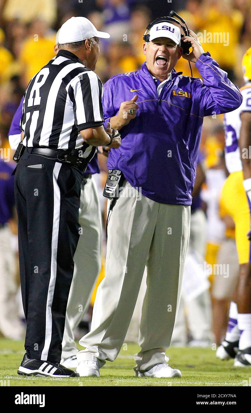 Gamecocks hires stock photography and images Alamy