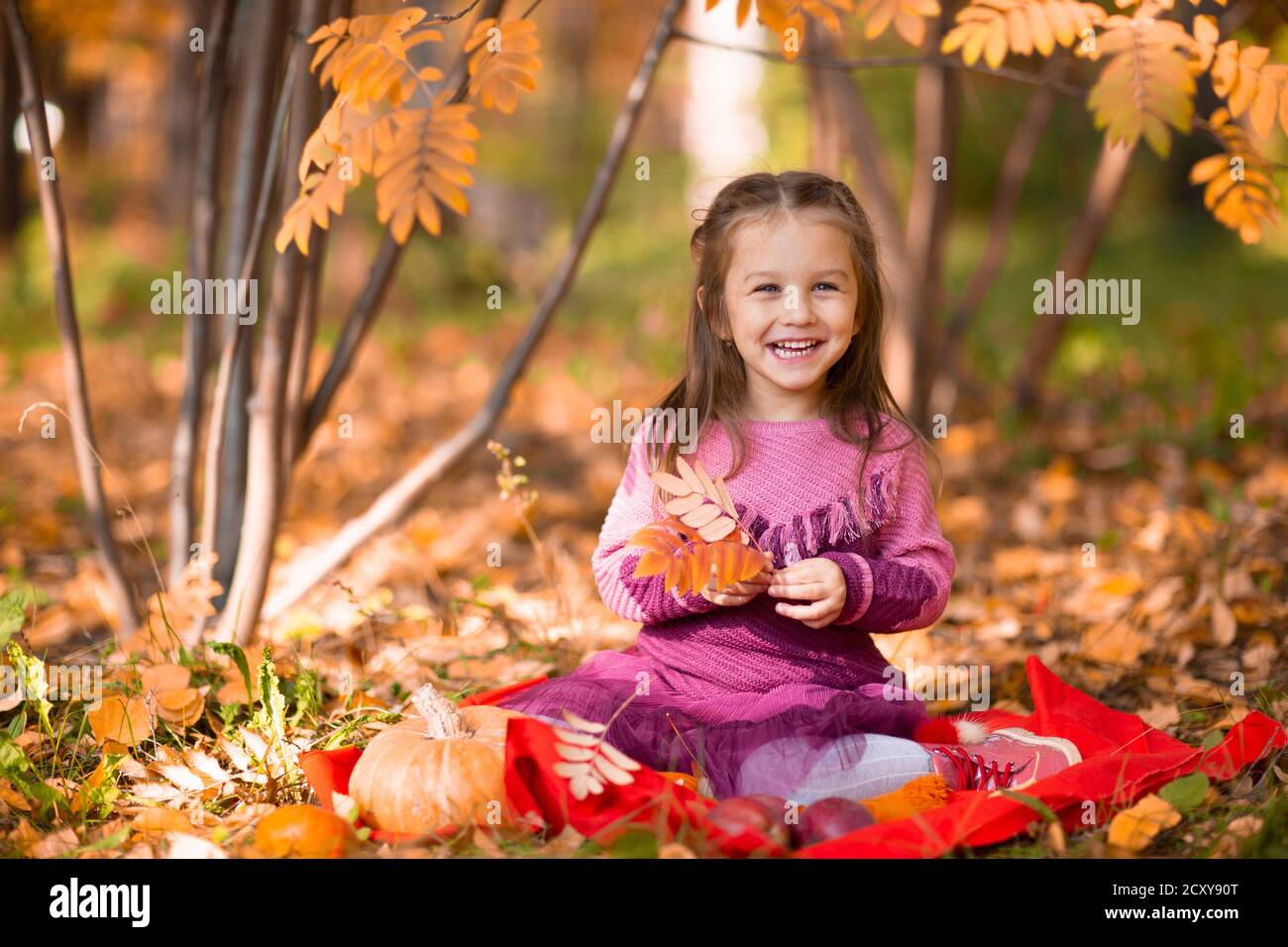 Cute little girl in autumn park with orange color leaves and yellow ...