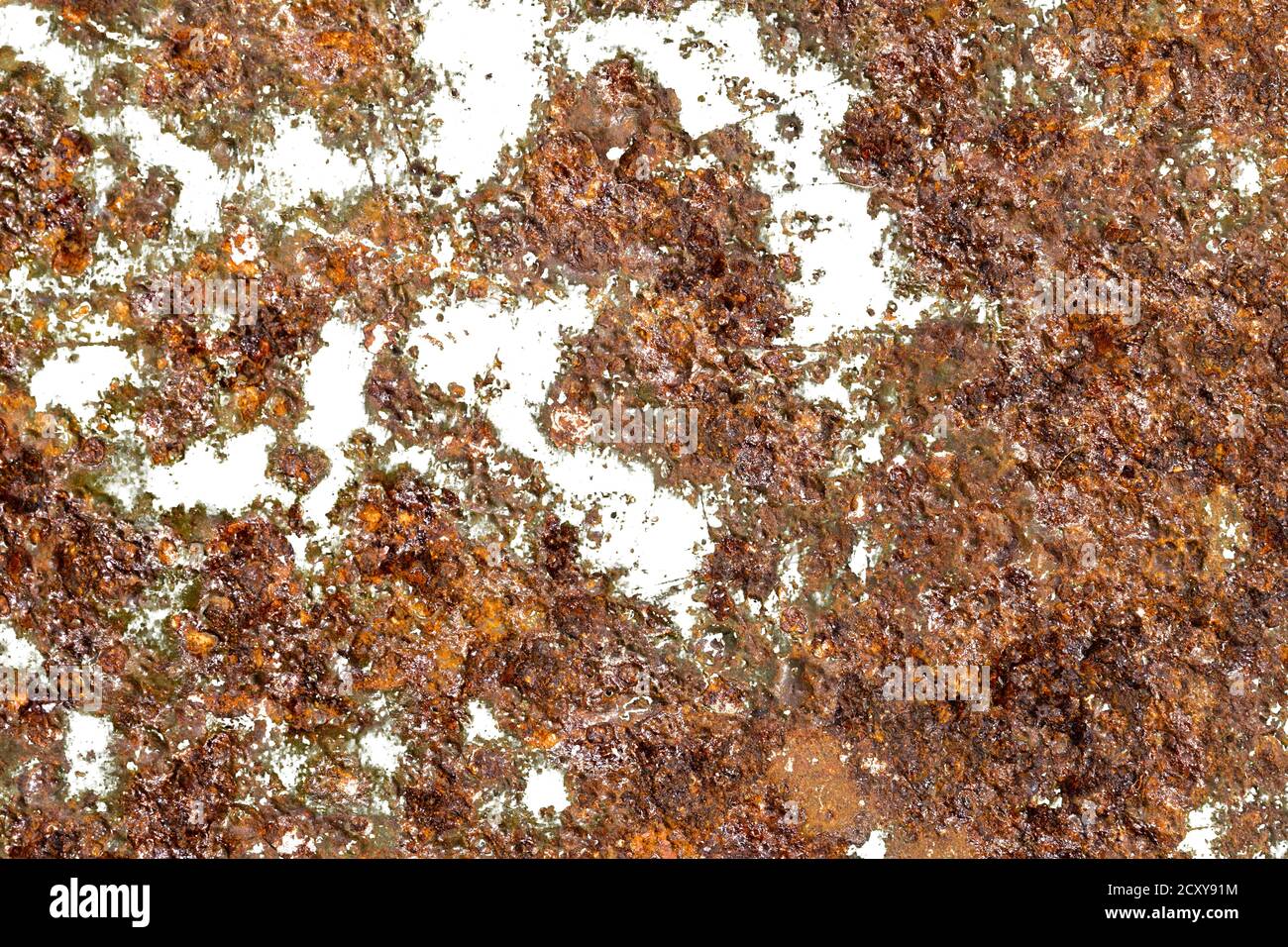rust isolated on a white background. texture for the designer Stock ...