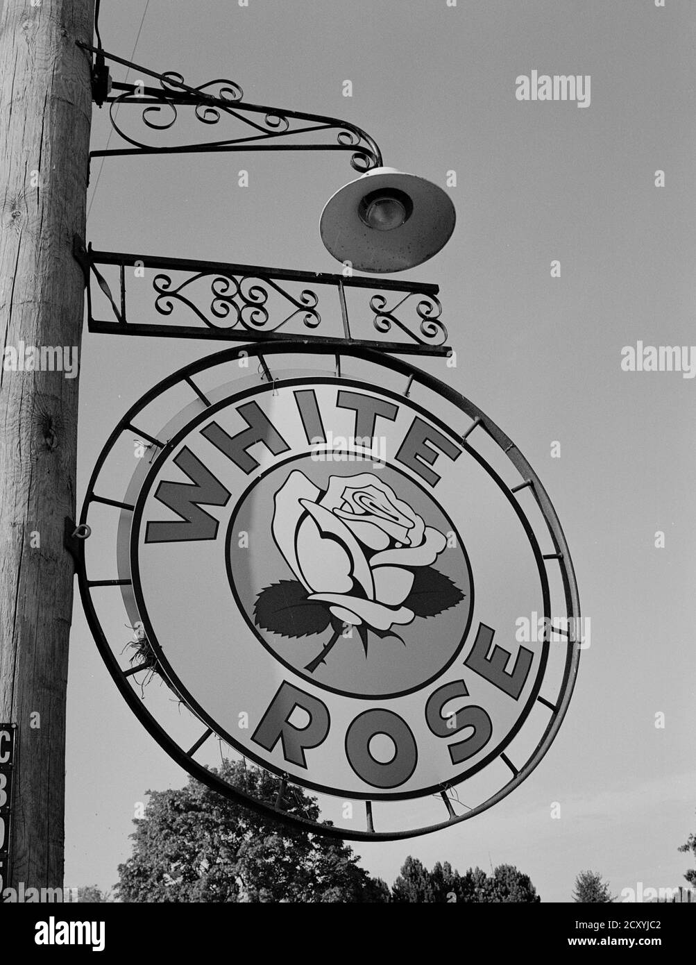 Vintage White Rose Oil Company Advertising Sign Stock Photo Alamy