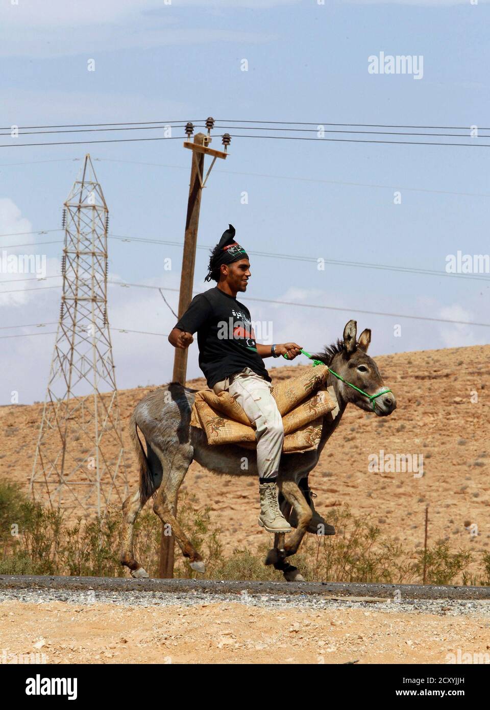 An anti-Gaddafi fighter rides a donkey at a checkpoint near Bani Walid  September 29, 2011. REUTERS/Saad Salash (LIBYA - Tags: ANIMALS TPX IMAGES  OF THE DAY POLITICS CIVIL UNREST MILITARY CONFLICT Stock