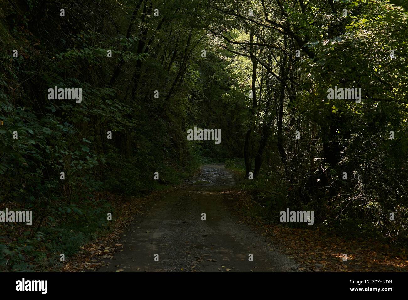 dirt road on a steep rocky slope in a mountain jungle Stock Photo